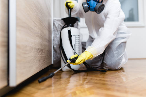 Best Wasp Removal Services  in Carrington, ND