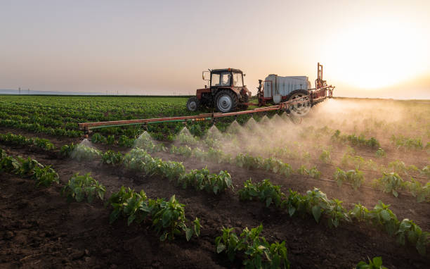 Best Pest Prevention Services  in Carrington, ND