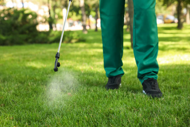 Best Ant Control Services  in Carrington, ND