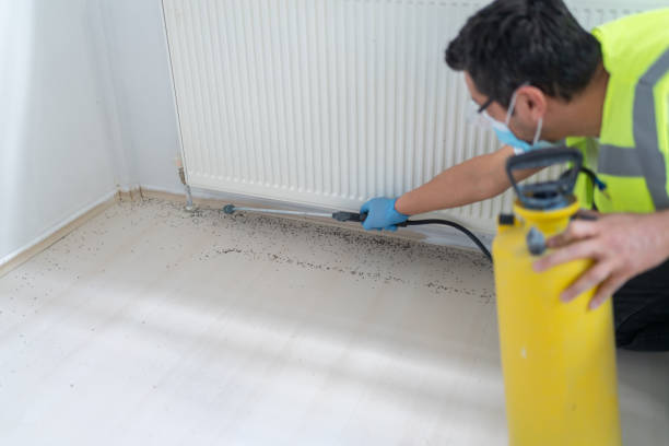 Best Pest Inspection Near Me  in Carrington, ND