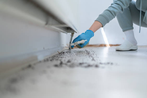 Best Pest Control Near Me  in Carrington, ND